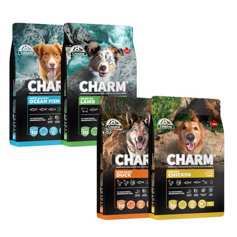 CHARM W.I.L.D | Dry Dog Food 340g