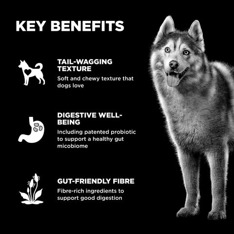 Go! Solutions Benefit Chews Digestion + Gut Health Dog Treats