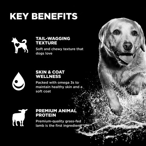 Go! Solutions Benefit Chews Skin & Coat Care Dog Treats