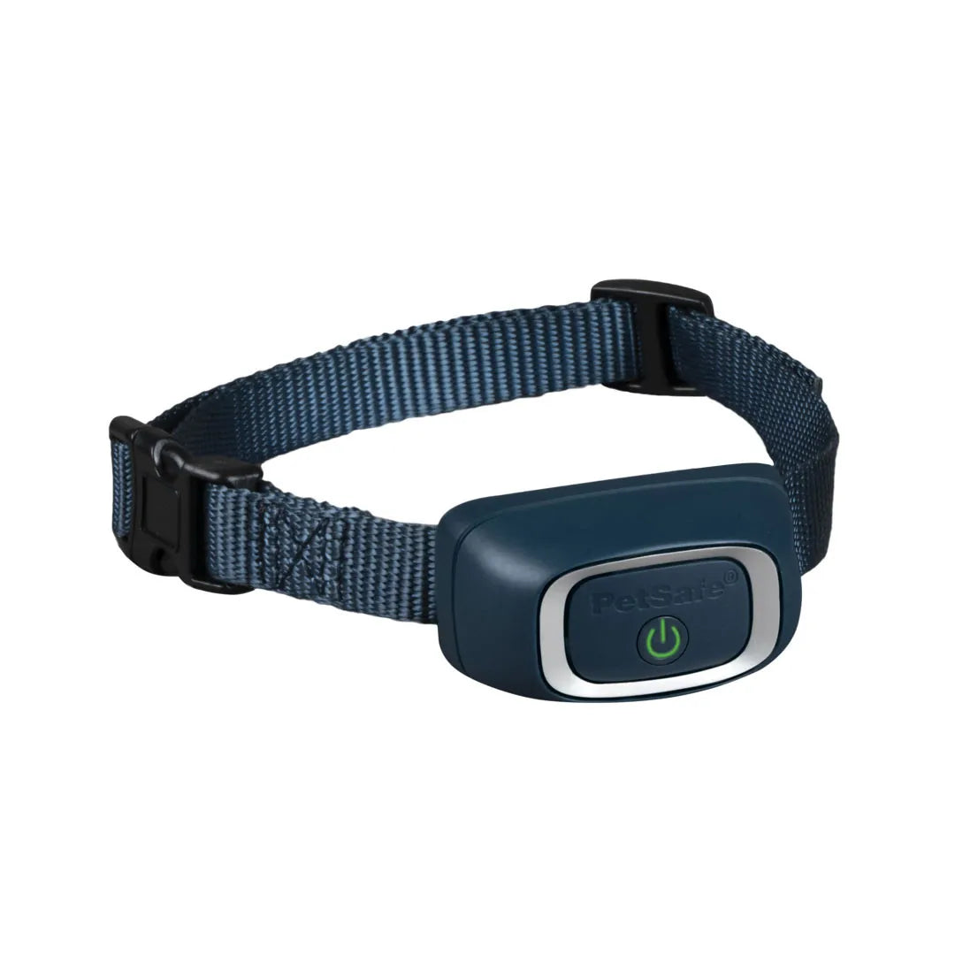 Petsafe bark collar test hotsell light