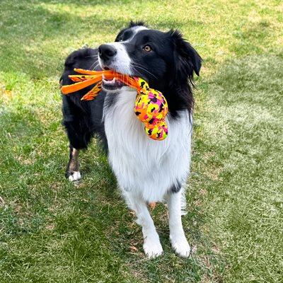 KONG High Viz Wubba Dog Toy