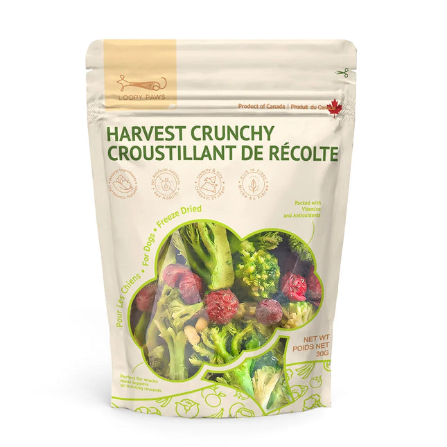 Loopy Paws Harvest Crunchy