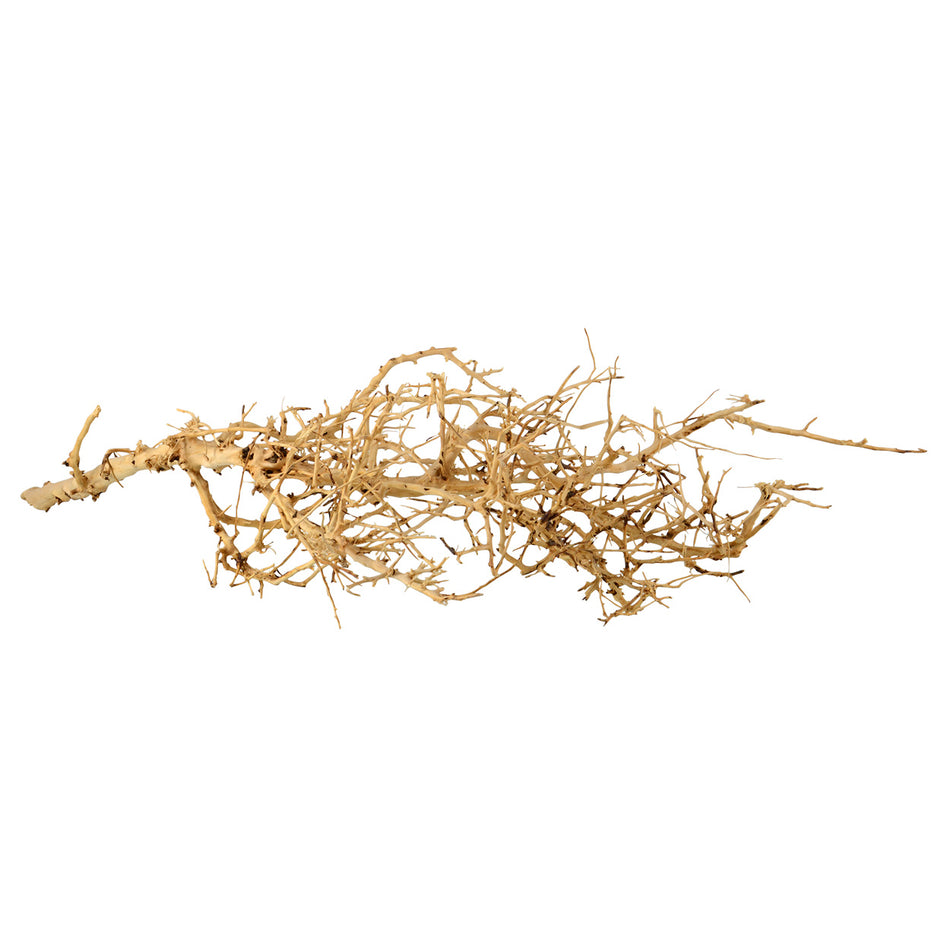 Underwater Treasures Bird Nest Wood - Medium