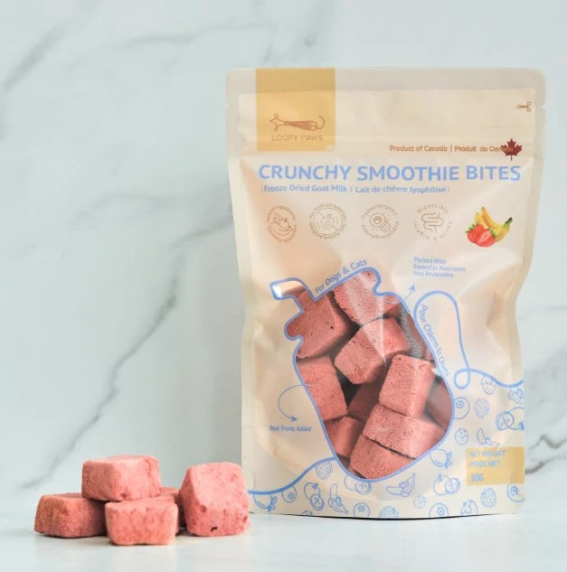Loopy Paws Smoothie Bites