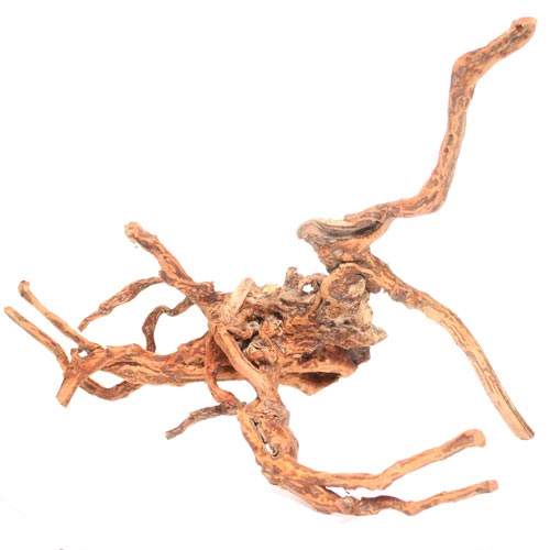 Underwater Treasures Terrarium Wood Root