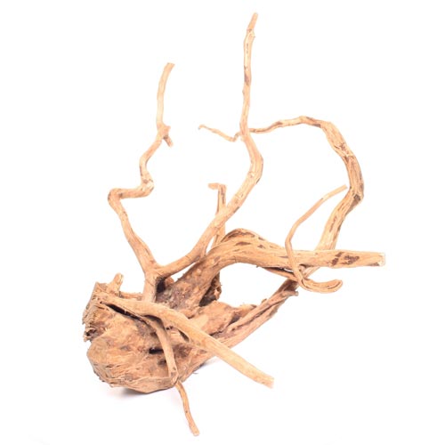 Underwater Treasures Terrarium Wood Root