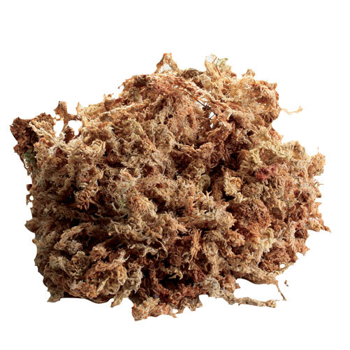 Zoo Med New Zealand Sphagnum Moss