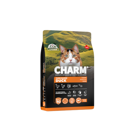 CHARM W.I.L.D | Dry Cat Food 340g