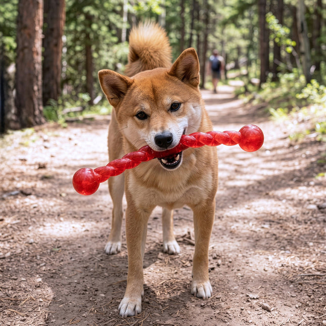 KONG Safestix Dog Toy