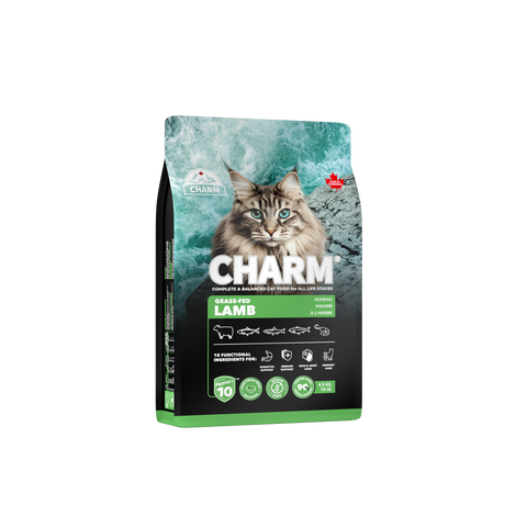 CHARM W.I.L.D | Dry Cat Food 340g