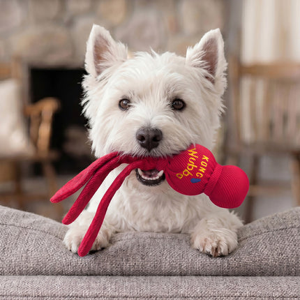 KONG Wubba Dog Toy