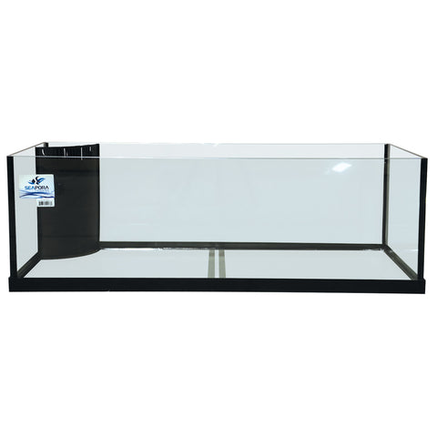 Seapora Glass Aquariums - Rimless