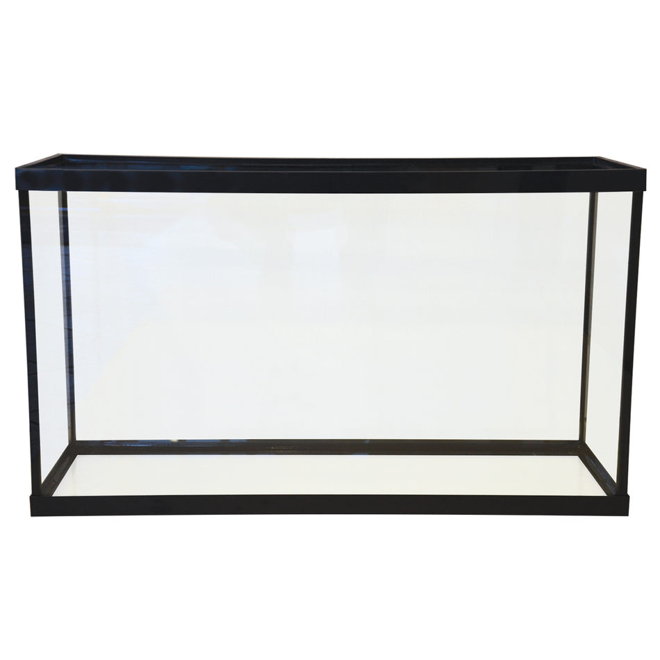Seapora 38 Gallon Aquarium