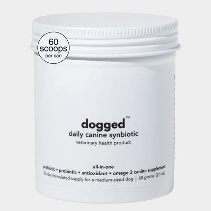 dogged DCS: daily canine synbiotic