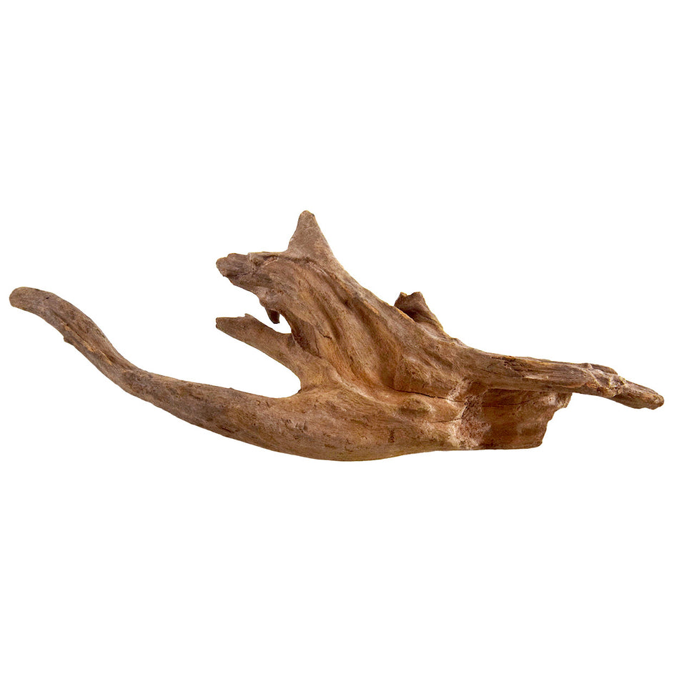 Underwater Treasures Kapas Root - Medium
