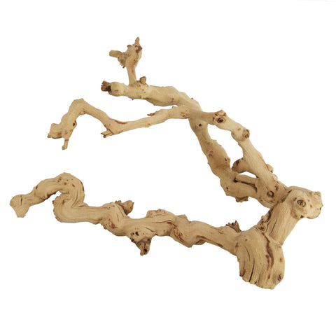 Underwater Grapewood
