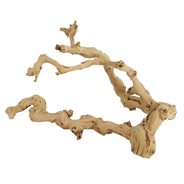 Underwater Grapewood