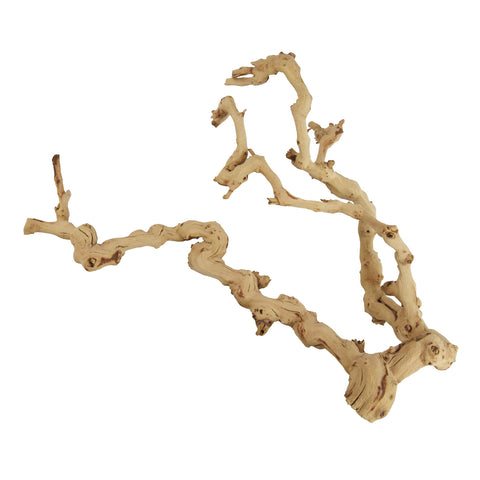 Underwater Grapewood