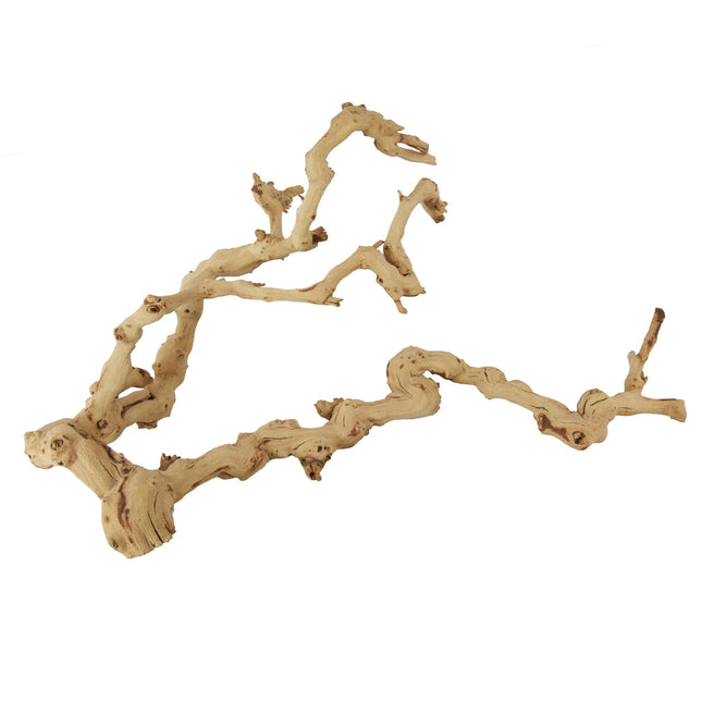 Underwater Grapewood