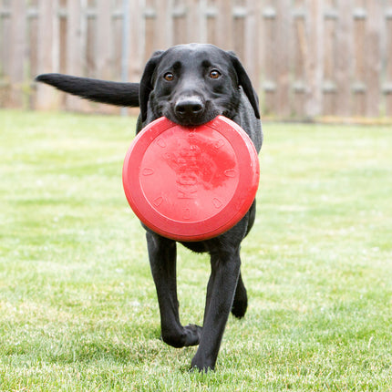 KONG Classic Flyer Dog Toy