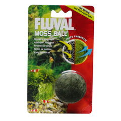 Collection image for: Fish Decoration Plants