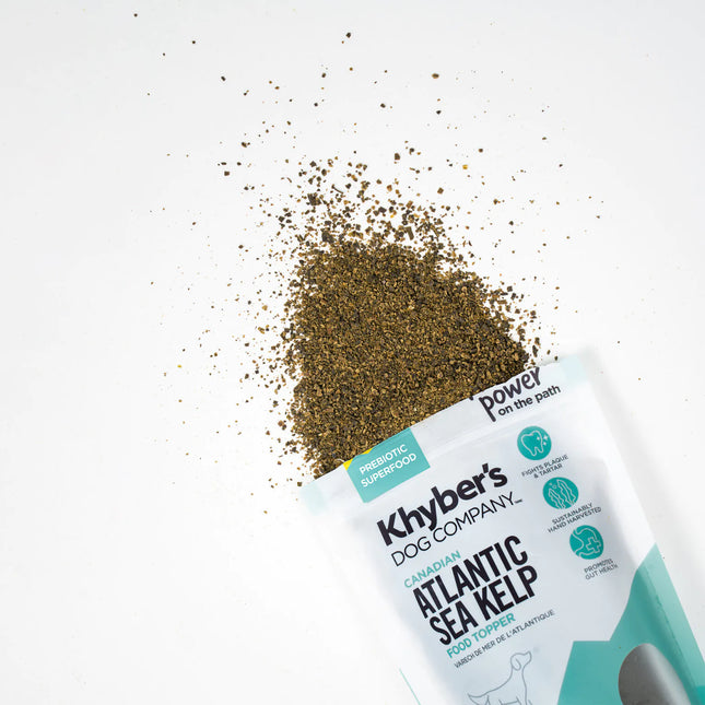 Khyber's Whole Food Supplement Atlantic Sea Kelp - Immune Booster