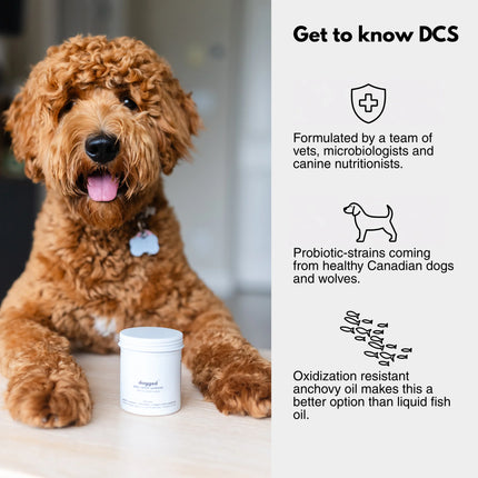 dogged DCS: daily canine synbiotic