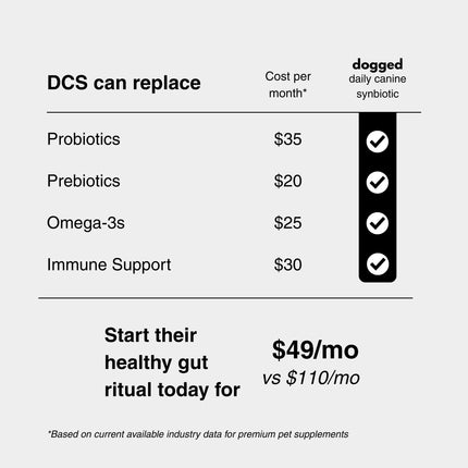 dogged DCS: daily canine synbiotic