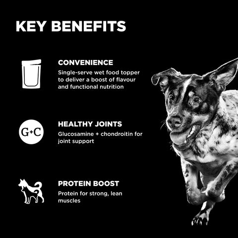 Go! Solutions Booster - Joint Care Dog Food Topper