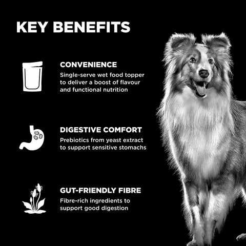 Go! Solutions Booster - Digestive Health Dog Food Topper