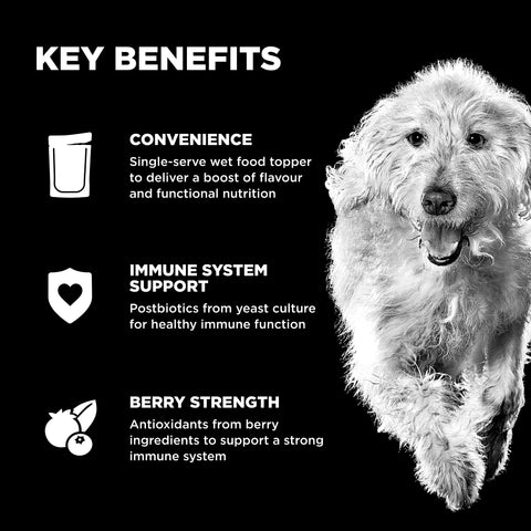Go! Solutions Booster - Immune Health Dog Food Topper