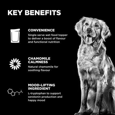Go! Solutions Booster - Tranquility Dog Food Topper