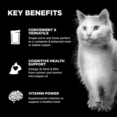 Go! Solutions Booster - Brain Health Cat Food