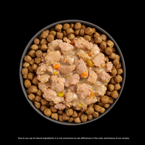 Go! Solutions Booster - Brain Health Cat Food