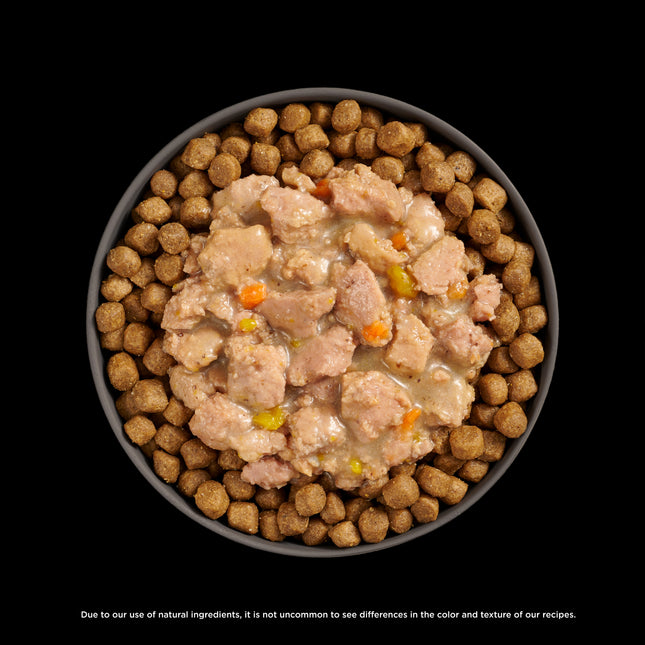Go! Solutions Booster - Brain Health Cat Food