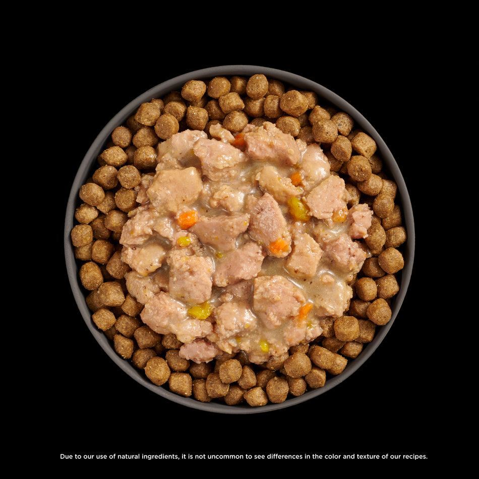 Go! Solutions Booster - Brain Health Cat Food
