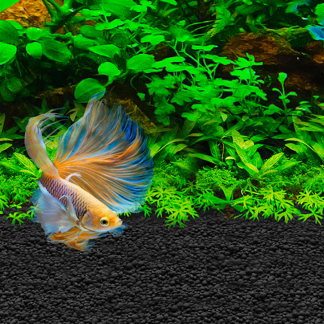Fluval Betta Stratum - 0.8kg (1.76 lb)