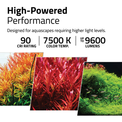Fluval Plant Pro 60 | Fresh & Planted Aquariums - 38W 15-23.5"