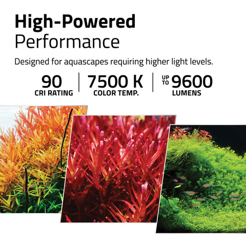 Fluval Plant Pro 60 | Fresh & Planted Aquariums - 38W 15-23.5"