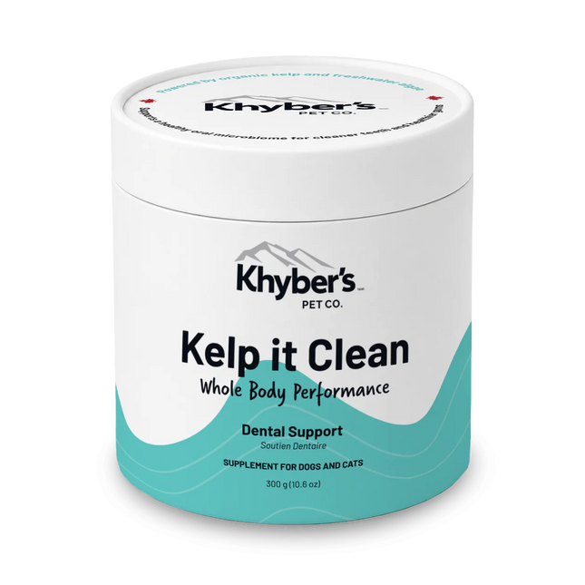 Khyber's Kelp it Clean - Dental support