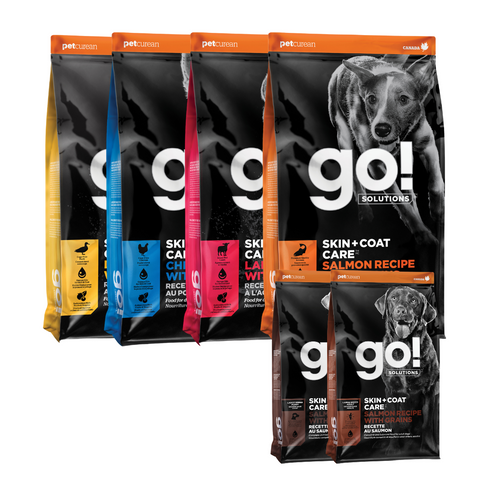 Dog Food & Nutrition