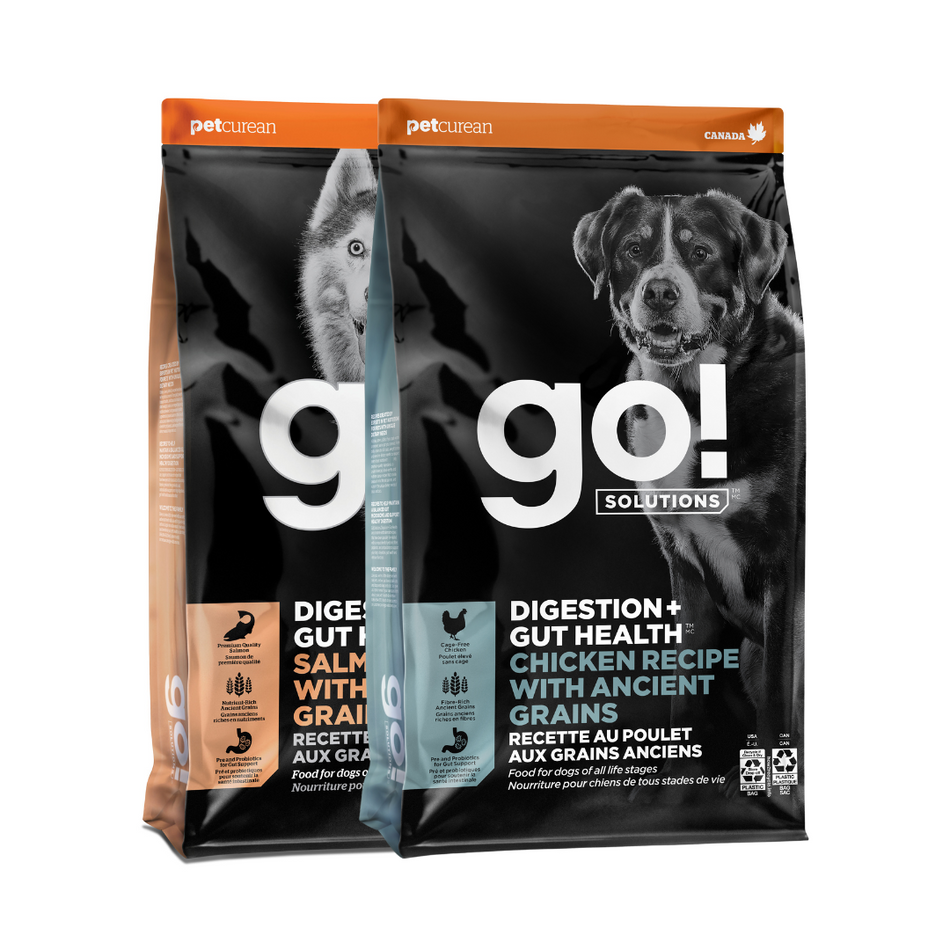 Go! Solutions Digestion + Gut Health | Dry Dog Food