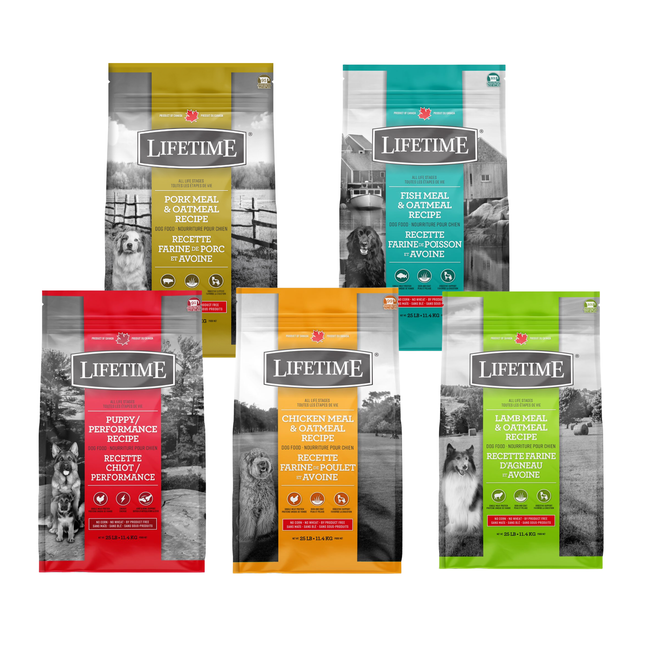 Lifetime | Dry Dog Food