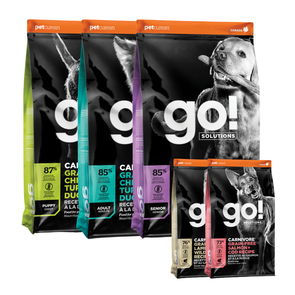 Go! Solutions Carnivore | Dry Dog Food