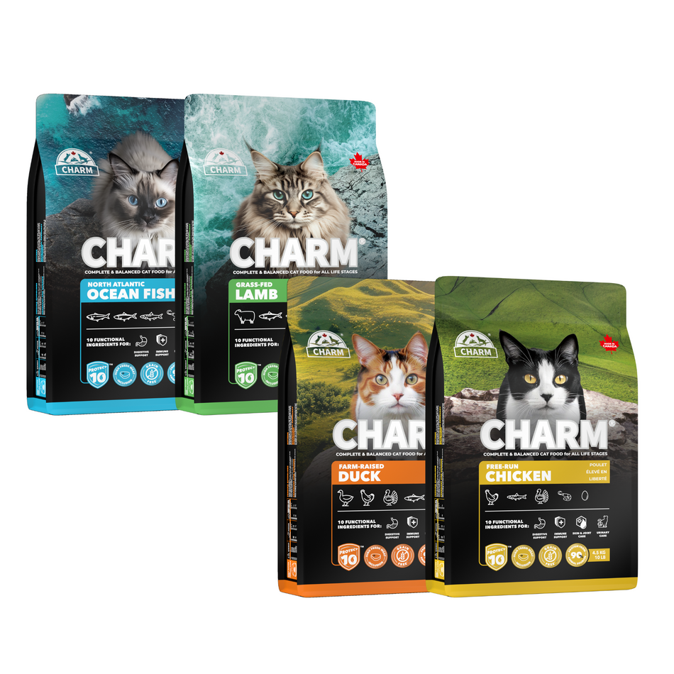 CHARM W.I.L.D | Dry Cat Food 340g
