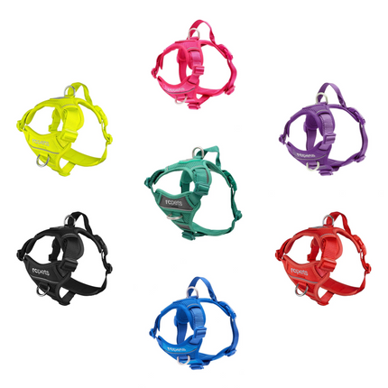 RC Pets Momentum Control Harness