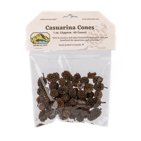 NewCal Pet Casuarina Cones - 1 oz
