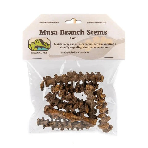NewCal Pet Musa Branch Stems - 1 oz