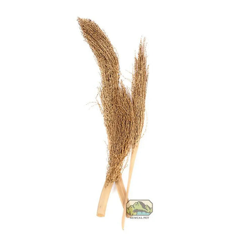 NewCal Pet Palm Torch 12"+