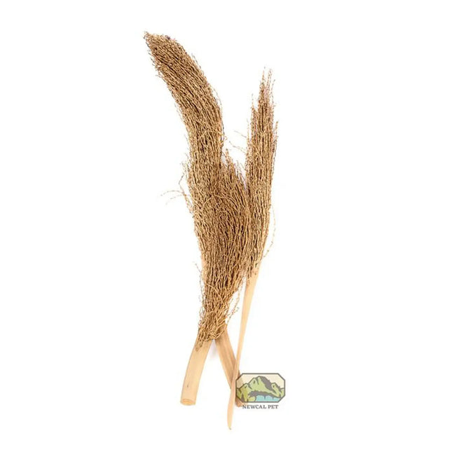 NewCal Pet Palm Torch 12"+